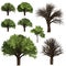 Green Forrest tree background. 3D Illustration.