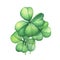 Green four leaf clover.