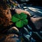 Green four-leaf clover around stones water. Green four-leaf clover symbol of St. Patrick\\\'