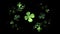 Green Four Leaf Clover On Black Animation