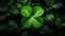 Green Four Leaf Clover, St Patricks Day