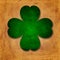 Green four-leaved shamrock in old paper background