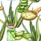 Green fresh aloe vera leaf with aloe gel in wooden spoon. Watercolor agave, aloe vera,succulent, green plant. Botanical