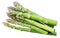 Green fresh asparagus sprouts white background