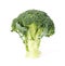 Green fresh brocoli