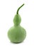 Green fresh calabash vegetable isolate on white background