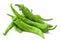 Green fresh chili pepper