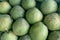 Green fresh grapefruit organic nature background.