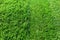 Green fresh grass. Partially cut grass lawn. Difference between perfectly mowed, trimmed garden lawn or field for sports, golf and