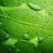 Green fresh leaf with water droplets closeup photo