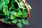 Green fresh mint in small basket on dark background, peppermint, copy space, selective focus