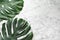 Green fresh monstera leaves on marble background, flat lay. Tropical plant