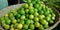 green fresh organic produce lemon kept on basket at vegetable store