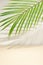 green fresh palm tropical tree on a beige background.summer shadows idea minimal travel concept