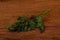 Green fresh parsley branch herb