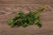Green fresh parsley branch herb