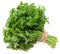 Green fresh parsley isolated on white background. parsley bunch. full depth of field