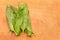 Green fresh ramson leaves on a cutting board close-up with copy space.