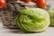 Green fresh roma lettuce salad leaves and roma mini tomatoes - h