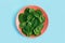 Green fresh vegetarian salad leaves on coral plate on blue background. Healthy and zero waste life concept