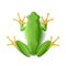 Green frog