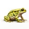 Green frog with dots isolated on white created with Generative AI. Small amphibian.
