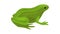 Green frog icon animation