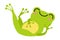 Green Frog with Protruding Eyes Lying and Smiling Vector Illustration