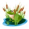 A green frog sitting on a lily pad in a pond with reeds in the marsh grass. Vector illustration of a cartoon character in a shrub