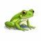 Green Frog With Yellow Eyes Vector - Realistic 2d Game Art And Children\\\'s Book Illustrations