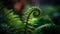 Green frond spiral, macro leaf growth in tropical rainforest generated by AI