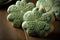 Green frosted shamrock sugar cookies generative ai