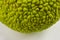 Green fruit of maclura pomifera, osage orange, horse apple, adam