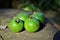 Green fruits of the American Genipa on a rustic wooden table