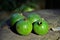 Green fruits of the American genipa on wooden table