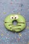 Green funny surprised donut on vintage background