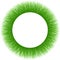 Green Furry Moss Fiber Sprouts Round Frame Downy Grass Cadre