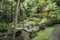 Green garden at Goa Gajah  Temple Elephant Cave near Ubud, Bali