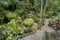 Green garden at Goa Gajah  Temple Elephant Cave near Ubud, Bali
