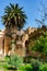 Green Garden scene with a Palm Tree inside the Kasbah of Chefchaouen Morocco