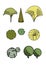 Green garden tree and bushes set. Design elements for poster or drawings or collages for architects and landscape designers.