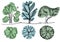 Green garden tree and bushes set. Design elements for poster or drawings or collages for architects and landscape designers.