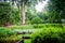 Green garden view with trees, flowers and fruits