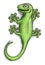 Green Gecko