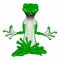 Green Gecko Meditating
