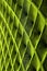 Green geometric net pattern with a three-dimensional appearance.