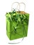 Green gift bag