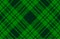 Green Gingham Buffalo Lumberjack pattern background.