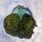 Green glacial water and forests aerial view tinny planet