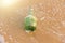 Green glass bottle with a message inside on the seashore on the beach. Magic and fairy tale. Design with copy space
